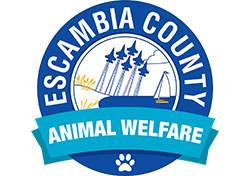 Escambia County Florida